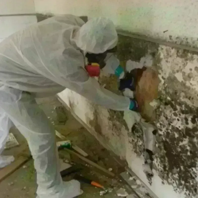 Mold Remediation and Removal in Redfield, SD