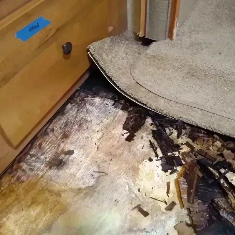 Wood Floor Water Damage in Redfield, SD